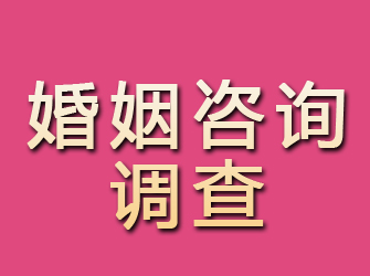 仙居婚姻咨询调查